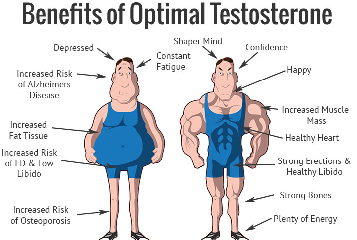 How Can You See Your Testosterone Levels